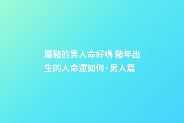 屬豬的男人命好嗎 豬年出生的人命運如何·男人篇-第1張-觀點-玄機派